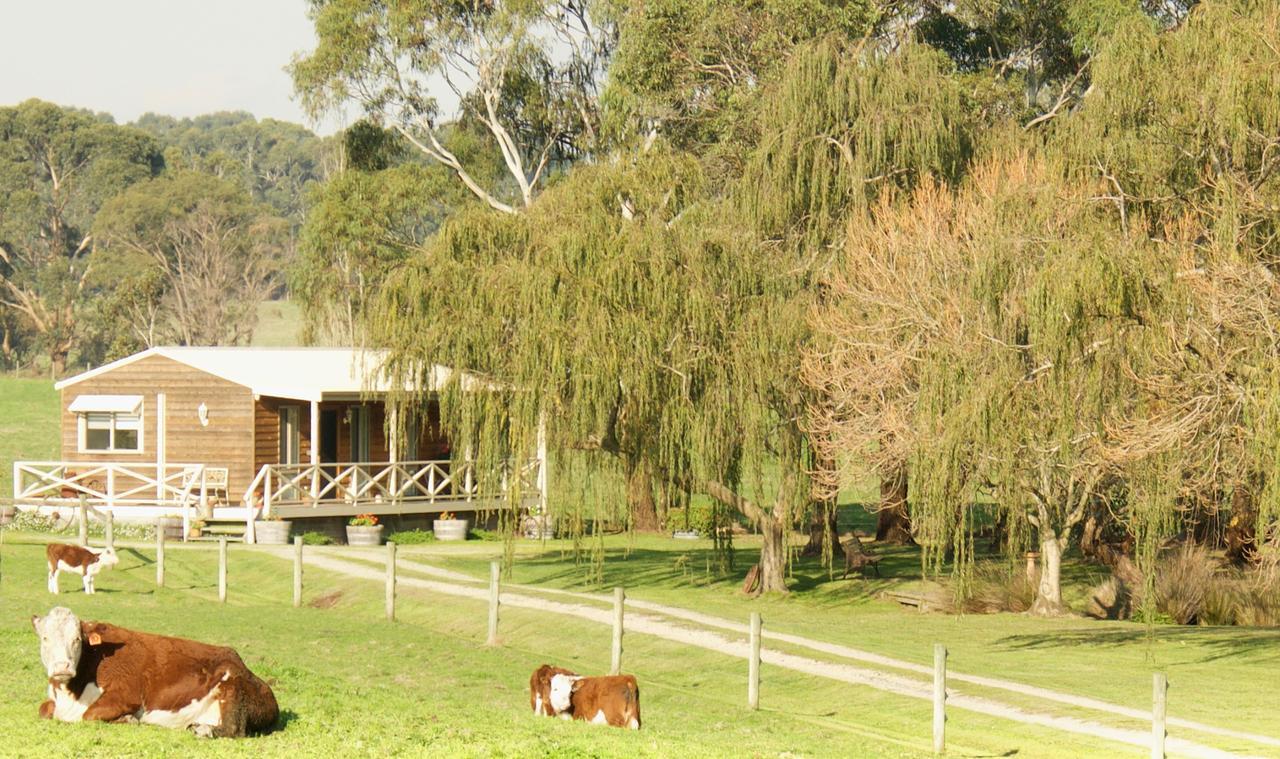 Little Lake Cottage Nyora Exterior photo